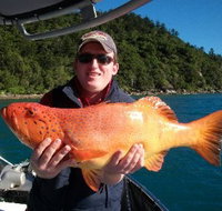 Gone Fishing by Coral Sea Fishing Charters Airlie Beach - C Tourism