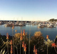 Mantaray Charters - C Tourism