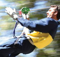 Adventure Parc - C Tourism