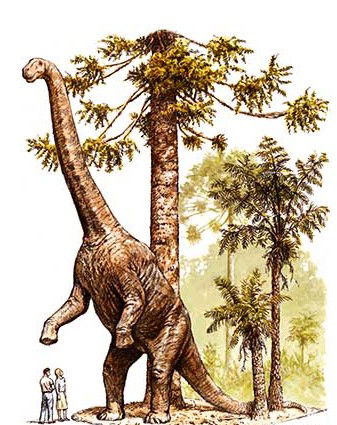 Australian Age Of Dinosaurs - C Tourism 2