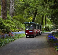 Araluen Botanic Park - C Tourism
