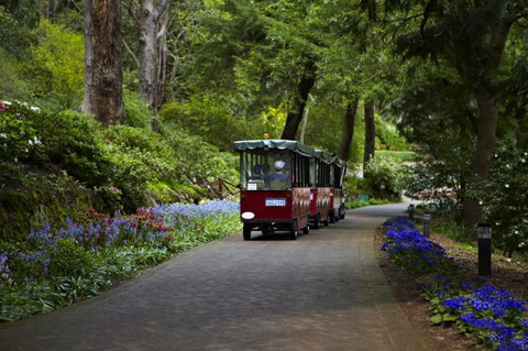 Araluen Botanic Park - C Tourism 0