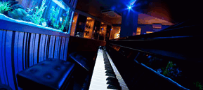 Saks Restaurant & Bar - C Tourism 2