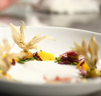 Jellyfish Restaurant - C Tourism