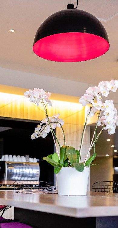 MRepublic Restaurant, Bar And Lounge - C Tourism 4