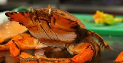 River Cottage Restaurant - C Tourism 0