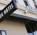 Skinny Dog Hotel - C Tourism