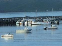 The Apollo Bay Hotel - C Tourism 0