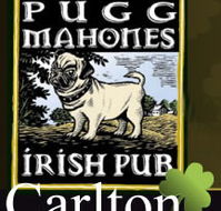 Pugg Mahones - C Tourism