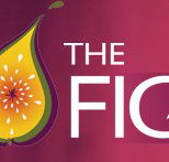 Wild Fig - C Tourism