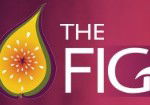 Naked Fig - C Tourism 0