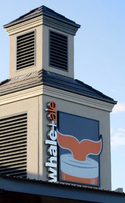 The Whale & Ale - C Tourism 1