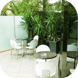 Hampton Park Tavern - C Tourism 2