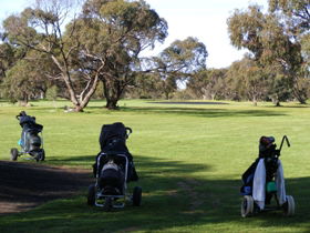 Minlaton Golf Club - C Tourism 3