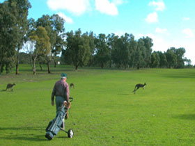 Coffin Bay Golf Club - C Tourism 0