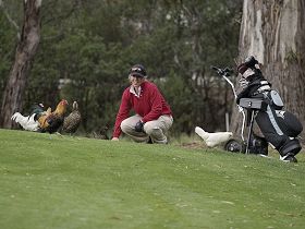 Acton Park TAS C Tourism