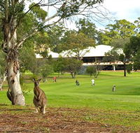 Pambula Merimbula Golf Club - C Tourism