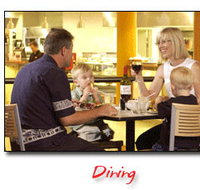 Steelers Club - C Tourism