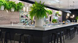 Ivy Bar - C Tourism 2