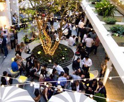 Ivy Bar - C Tourism 3