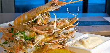 Garfish - C Tourism 5