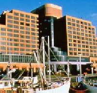 The Atrium Bar - C Tourism