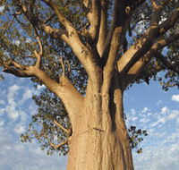 The Kimberley Grande - C Tourism