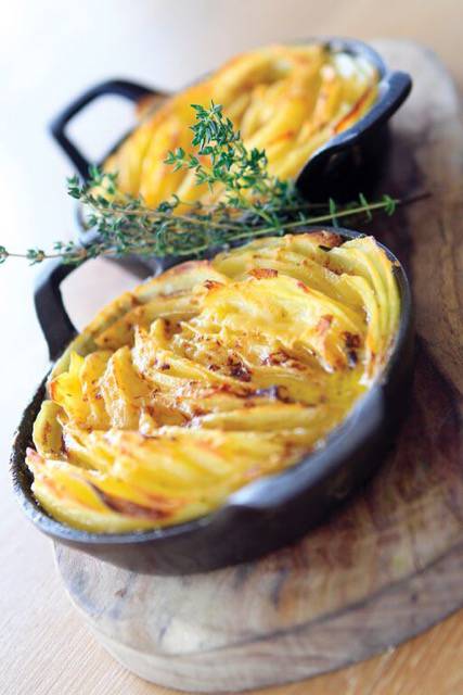 Lennox Head NSW C Tourism