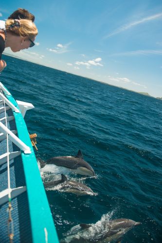 Moonshadow–TQC Cruises - C Tourism 3