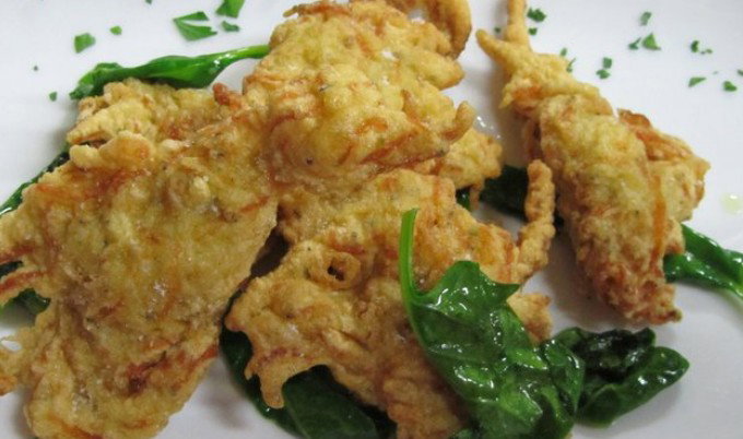 Haberfield NSW C Tourism