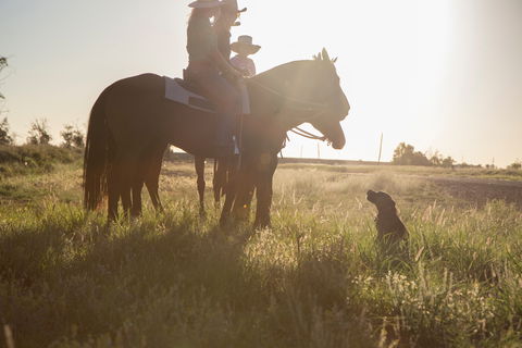 Balonne Cutting Horse Futurity - C Tourism 0