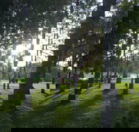 Celebration Outing Special - C Tourism