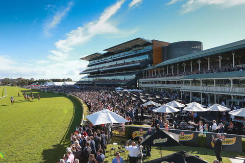 City Tattersalls Club Cup Day - C Tourism 1