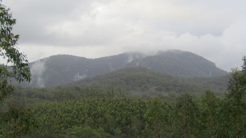 Elephant Trail Race - C Tourism 2