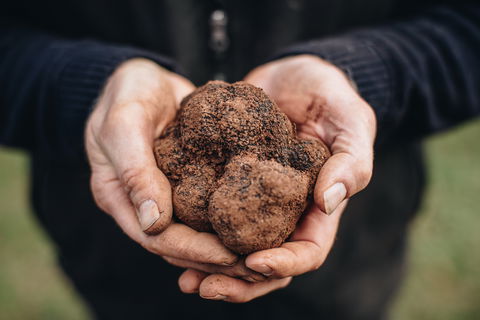 Feast And Forage - Craig's Royal Hotel - C Tourism 0