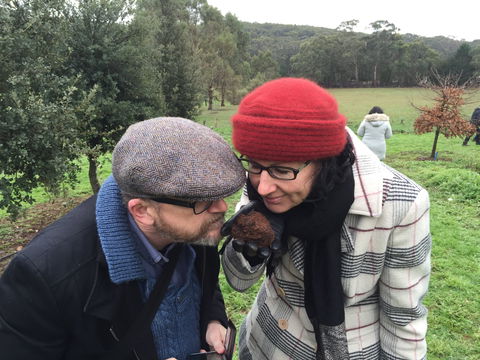 Feast And Forage - Craig's Royal Hotel - C Tourism 1