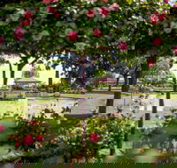 Griffith Spring Fest - C Tourism