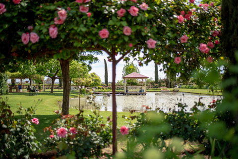 Griffith Spring Fest - C Tourism 0