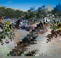 JetBlack Wild Wombat MTB Challenge - C Tourism