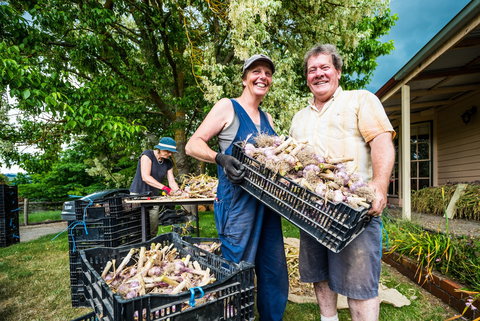 Meeniyan Garlic Festival - C Tourism 2