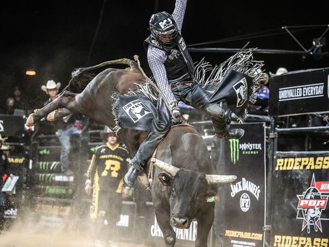 PBR Hawkesbury Stampede - C Tourism 0