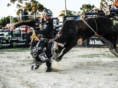 PBR Hawkesbury Stampede - C Tourism 2