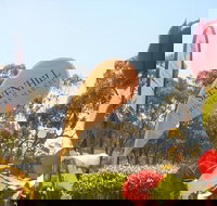 Sevenhill Producers Market - C Tourism