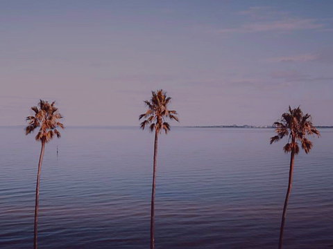 Sunset Streaming Live DJ Streams - C Tourism 0