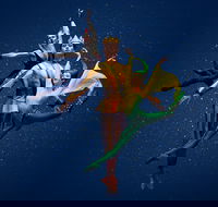 The Australian Ballet presents The Happy Prince - C Tourism