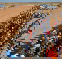 28th Marree Australasian CAMEL CUP 3 July 2021 - C Tourism