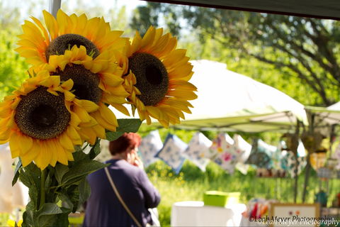 Blackville Arts And Market Day - C Tourism 0