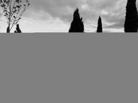 Cheese And Wine Experience - C Tourism 1