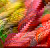 Creative Fibre - C Tourism
