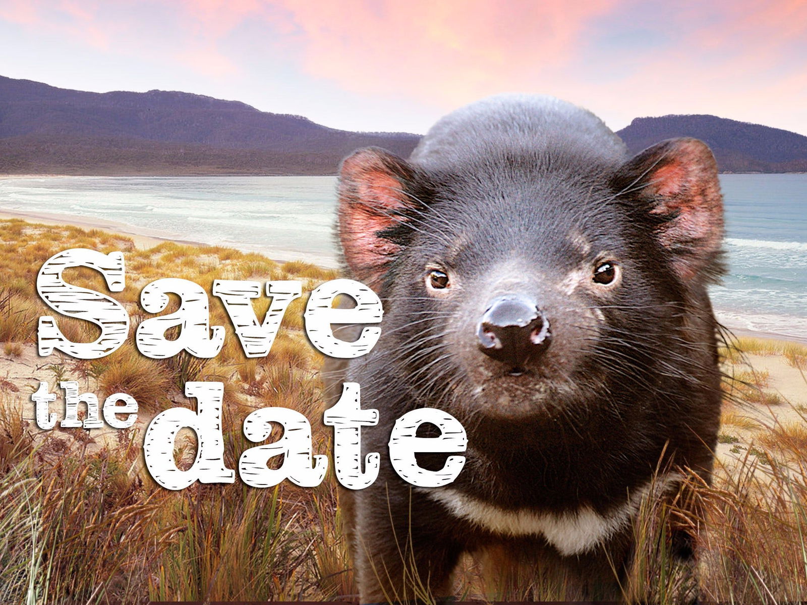 Deep Bay TAS C Tourism